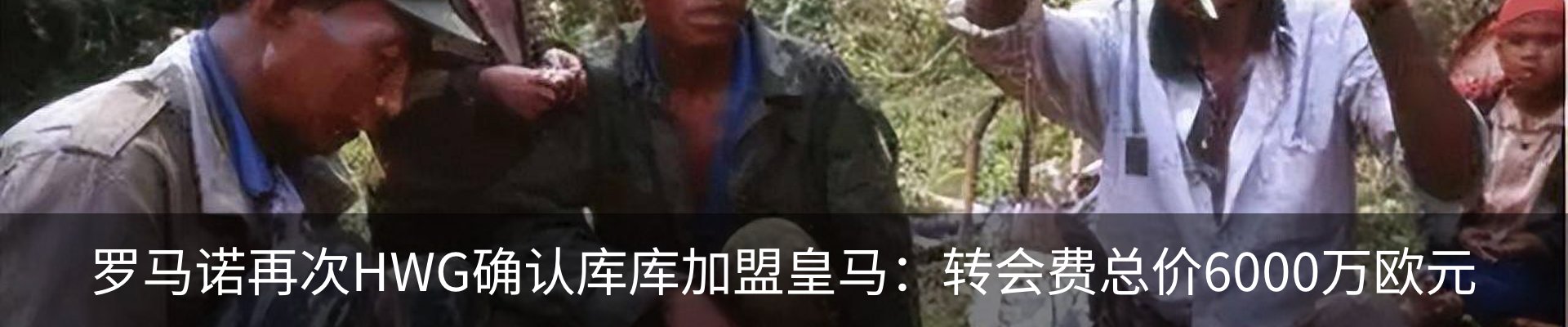 最新动态