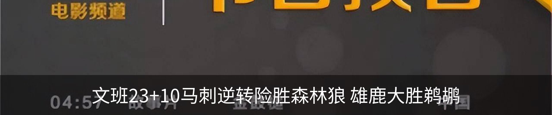最新动态